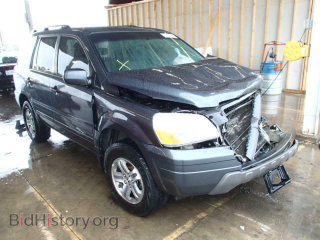 Photo 5FNYF18405B013290 - HONDA PILOT 2005