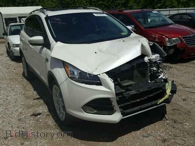 Photo 1FMCU9J91DUB62300 - FORD ESCAPE 2013