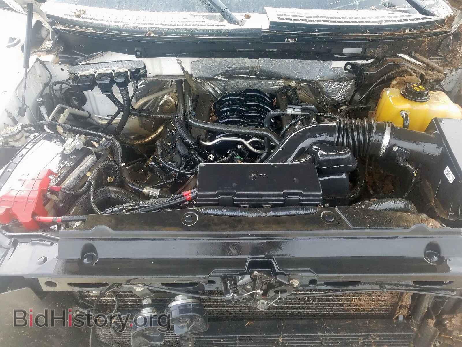 2013 FORD F150 - VIN: 1FTFW1EF0DFD93044 - Фото 7