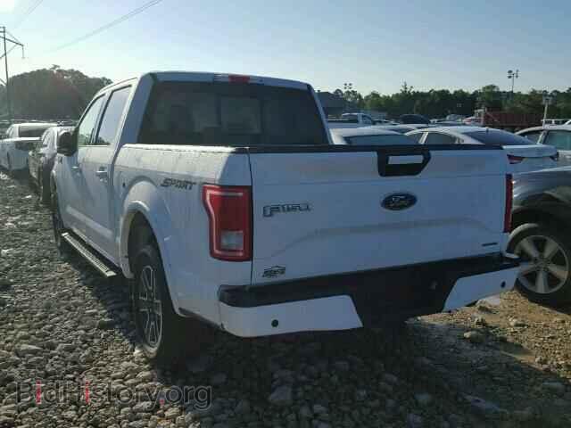 2015 FORD F150 - VIN: 1FTEW1CF1FFA14098 - Фото 3