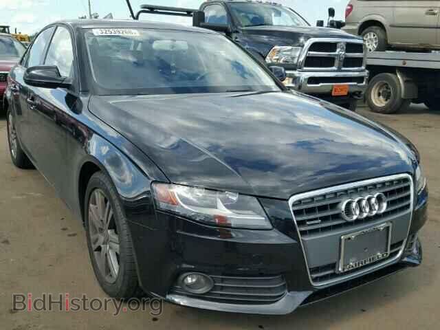 Фотография WAUDFAFL9AN012009 - AUDI A4 2010