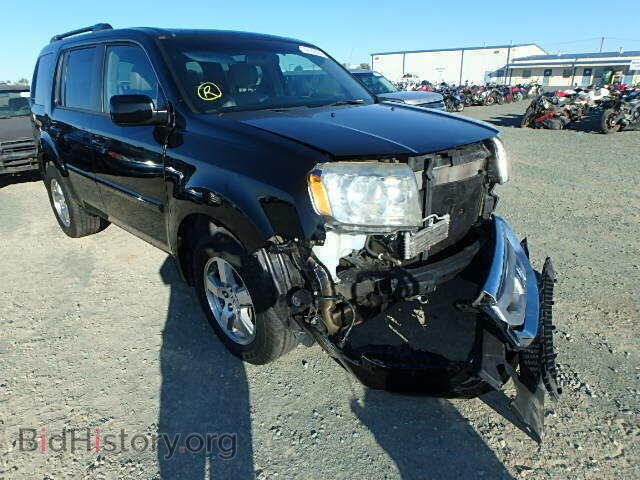 Фотография 5FNYF38559B014073 - HONDA PILOT 2009