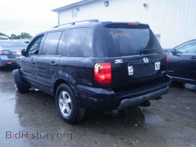 2005 HONDA PILOT - VIN: 5FNYF18535B008352 - Фото 3