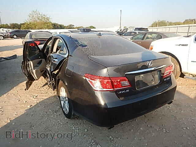 2010 LEXUS ES350 - VIN: JTHBK1EG9A2365134 - Фото 3