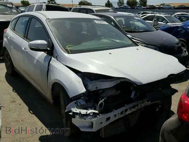 Photo 1FADP3K28DL292343 - FORD FOCUS 2013