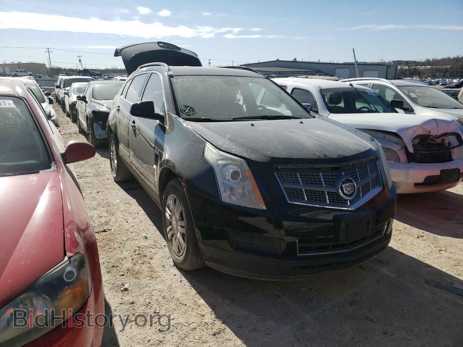 Photo 3GYFNGEY6BS556600 - CADILLAC SRX 2011