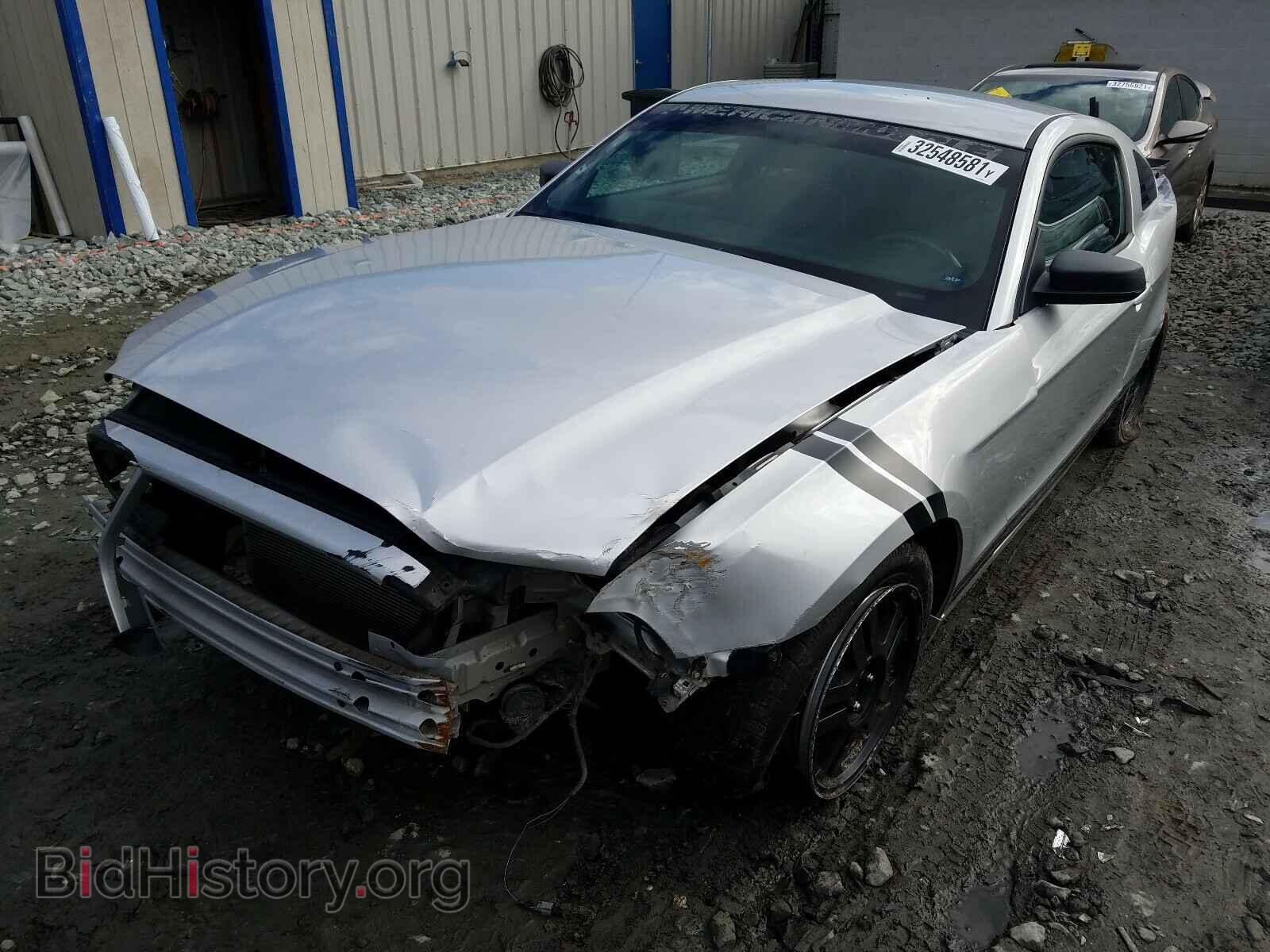 2013 FORD MUSTANG - VIN: 1ZVBP8AM0D5211645 - Фото 2