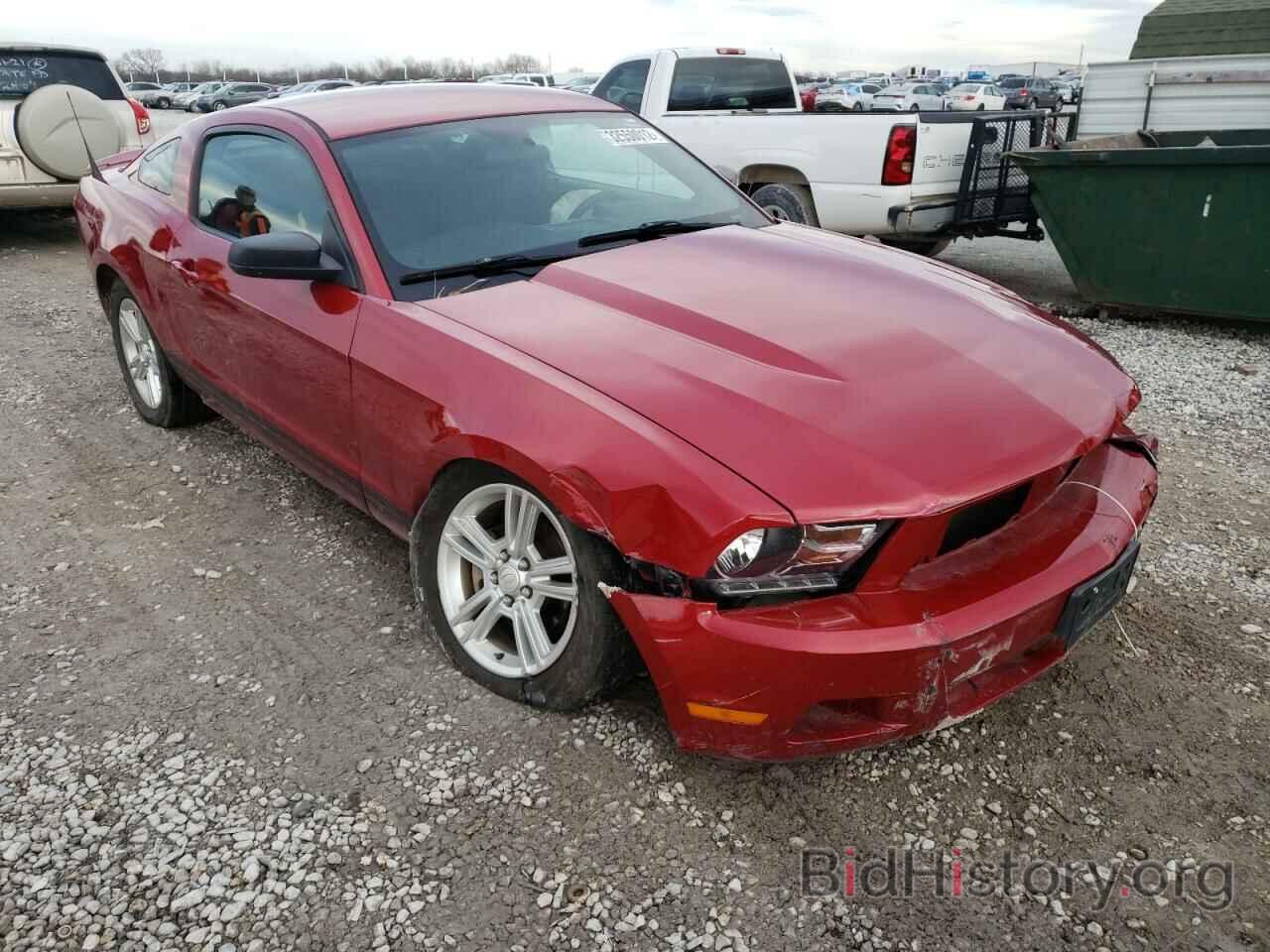 Photo 1ZVBP8AN3A5173090 - FORD MUSTANG 2010