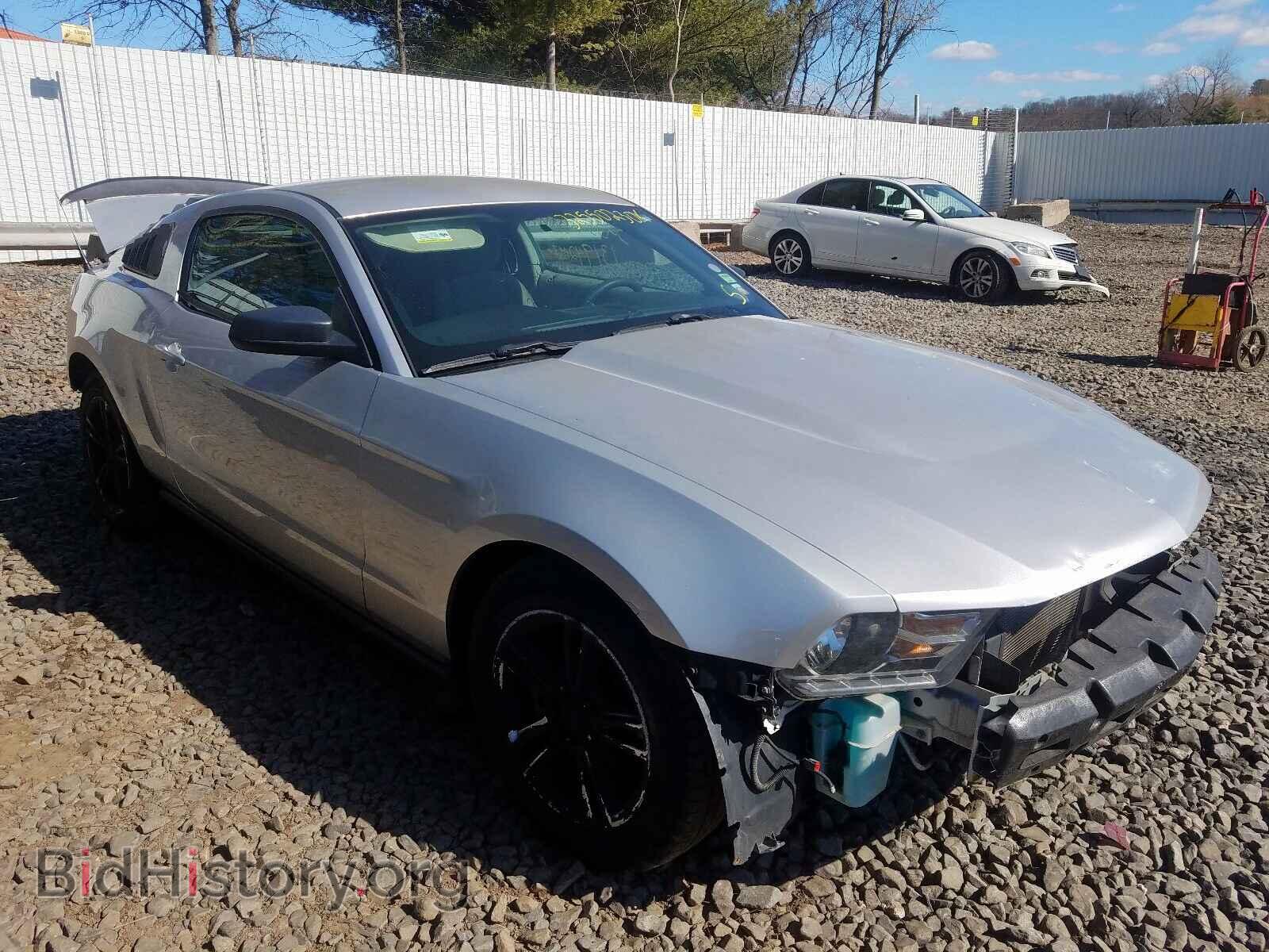 Фотография 1ZVBP8AN5A5152354 - FORD MUSTANG 2010