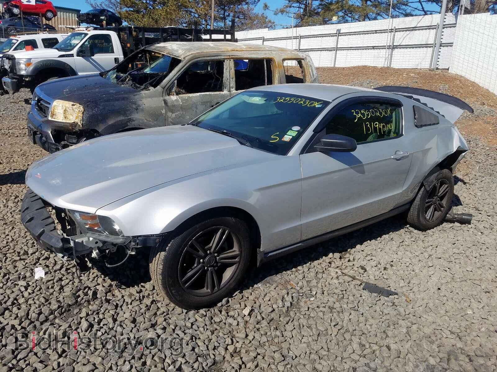 2010 FORD MUSTANG - VIN: 1ZVBP8AN5A5152354 - Фото 2