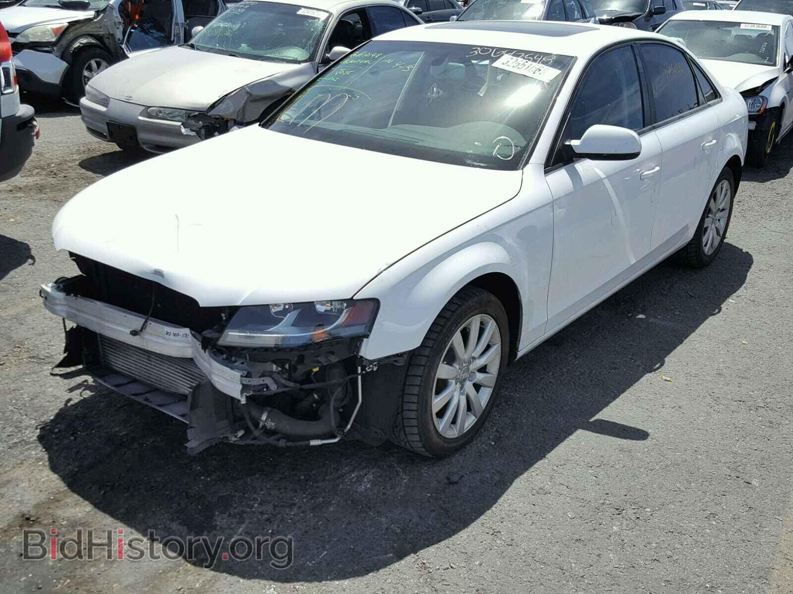 2012 AUDI A4 - VIN: WAUAFAFL1CN015038 - Фото 2