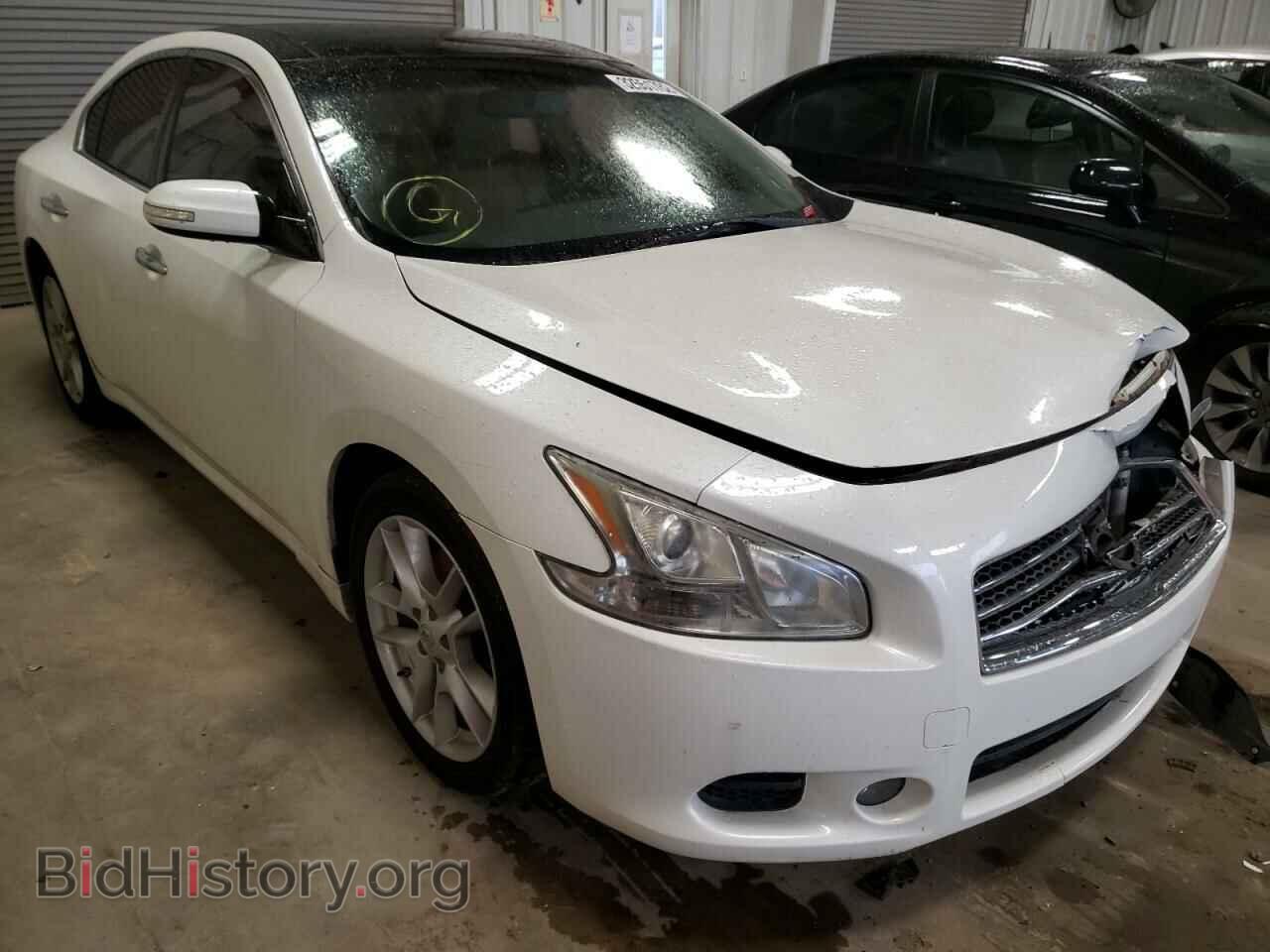 Фотография 1N4AA5AP5BC830331 - NISSAN MAXIMA 2011