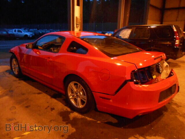 2014 FORD MUSTANG - VIN: 1ZVBP8AM1E5334761 - Фото 3