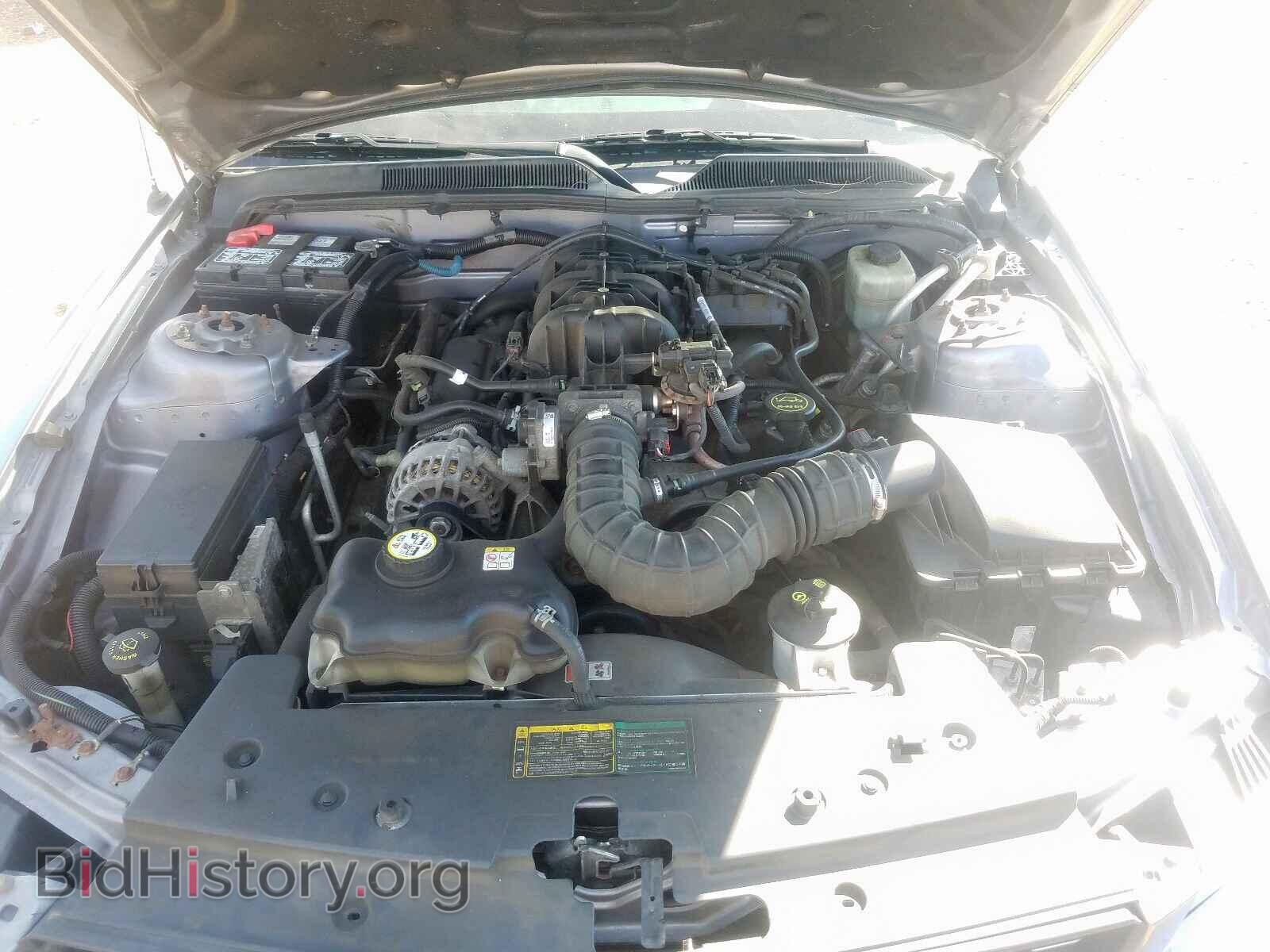 2006 FORD MUSTANG - VIN: 1ZVFT80N965168174 - Фото 7