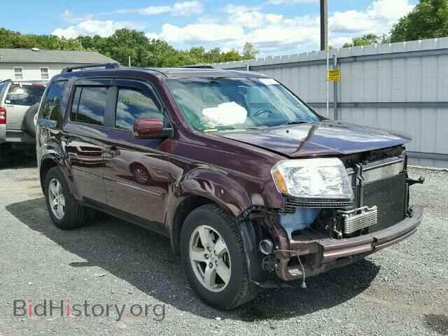 Фотография 5FNYF4H55BB045786 - HONDA PILOT 2011