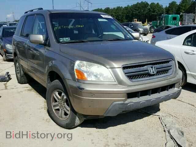 Photo 5FNYF18535B036412 - HONDA PILOT 2005