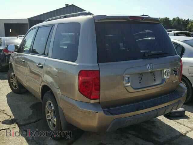 2005 HONDA PILOT - VIN: 5FNYF18535B036412 - Фото 3