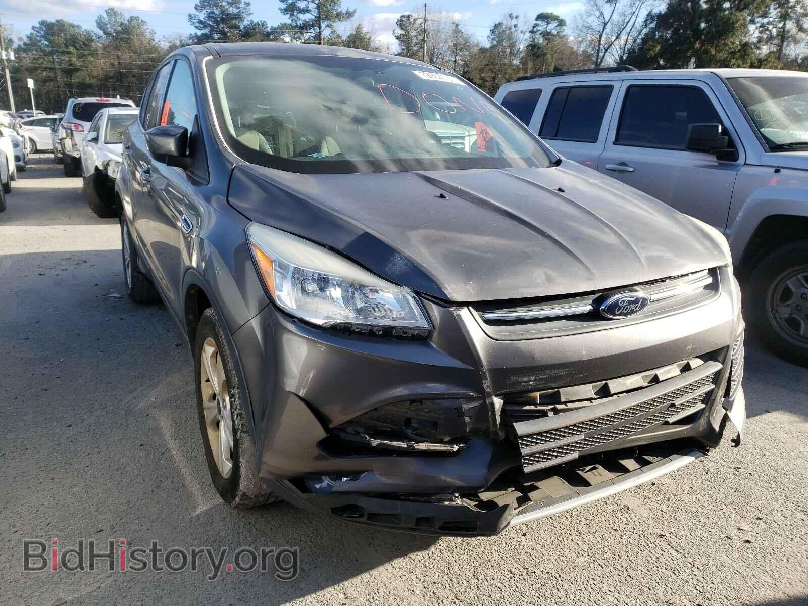 Фотография 1FMCU0GX0DUD32258 - FORD ESCAPE 2013