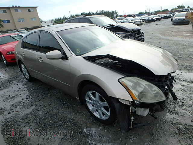 Фотография 1N4BA41E65C813894 - NISSAN MAXIMA 2005