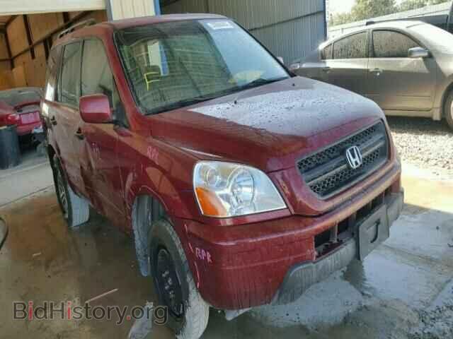 Photo 5FNYF18595B009649 - HONDA PILOT 2005