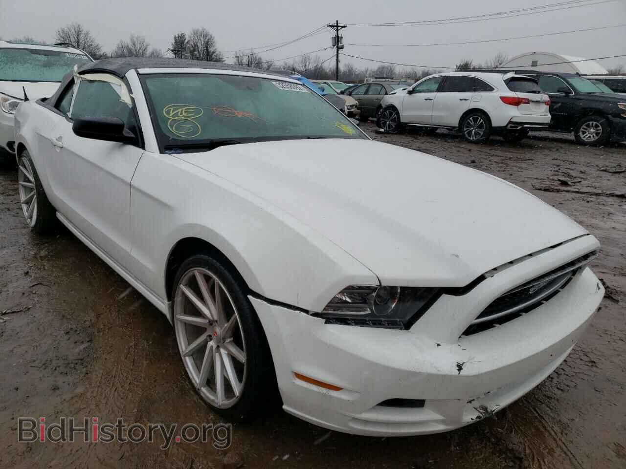 Фотография 1ZVBP8EM6E5227036 - FORD MUSTANG 2014