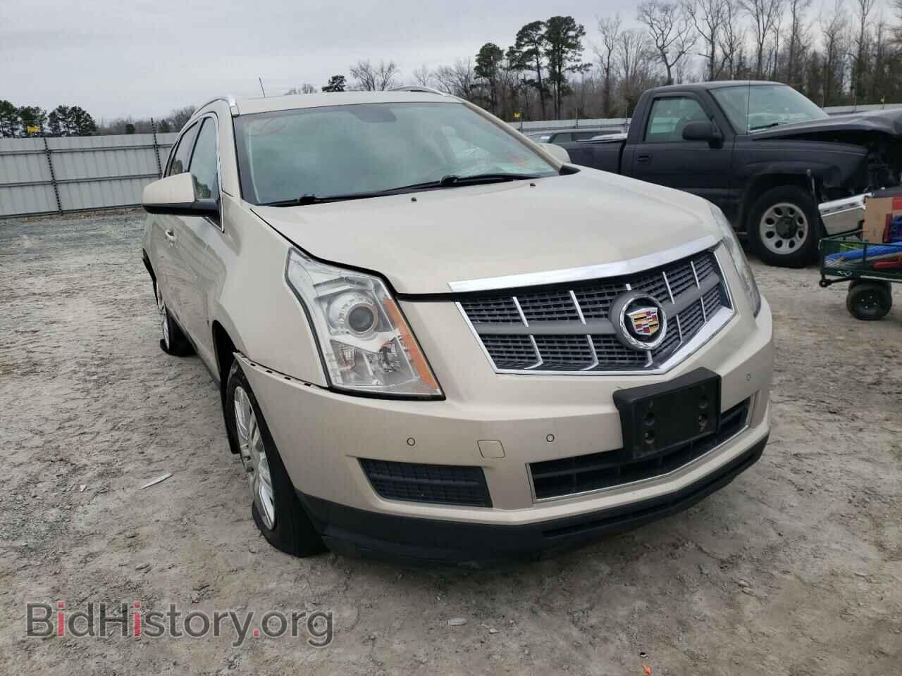 Фотография 3GYFNAE34CS505695 - CADILLAC SRX 2012