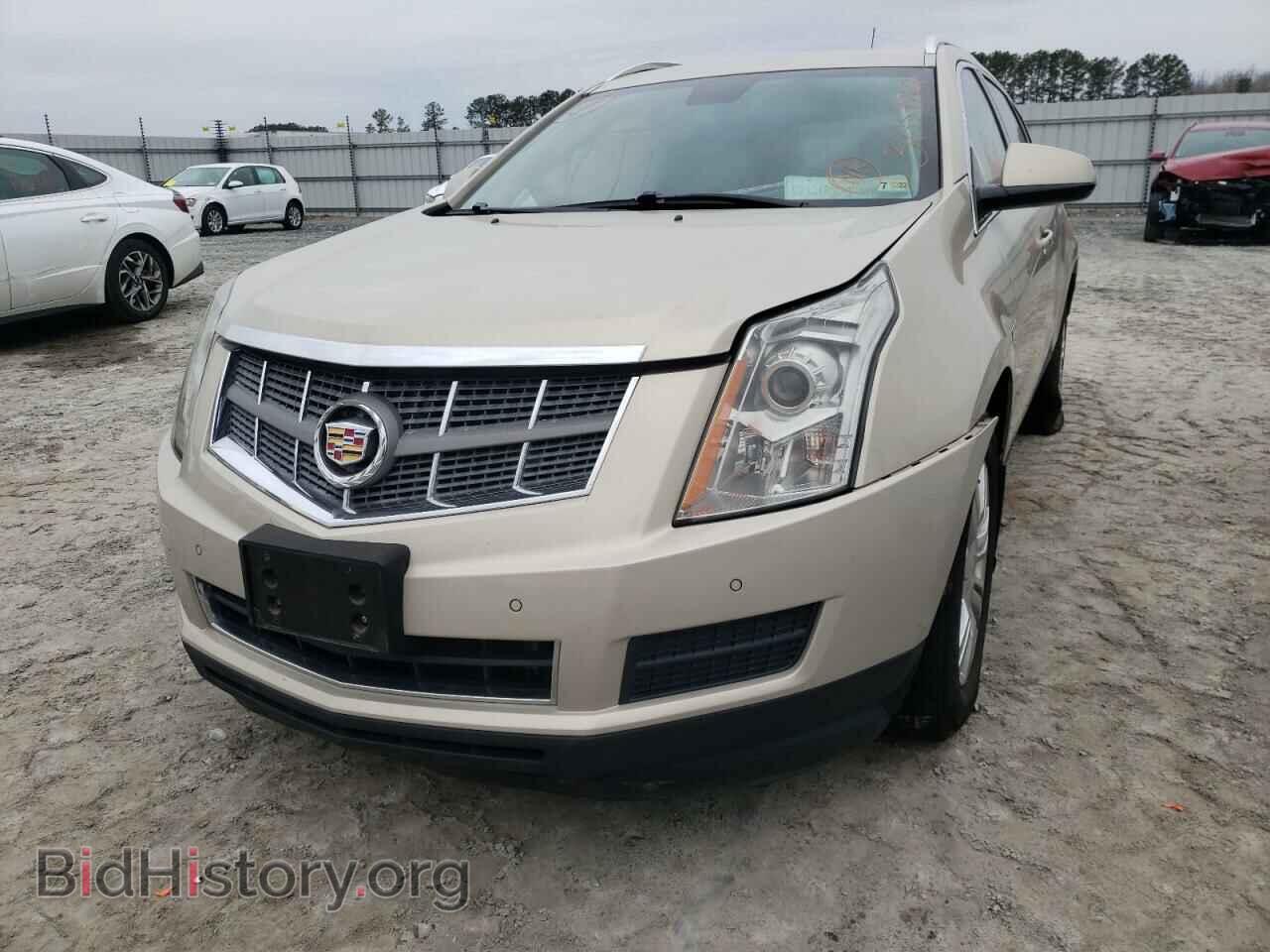 2012 CADILLAC SRX - VIN: 3GYFNAE34CS505695 - Фото 2