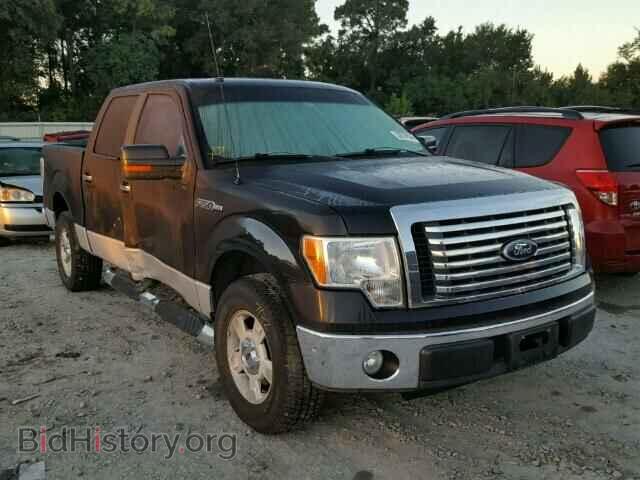 Фотография 1FTEW1C87AFA14312 - FORD F150 2010