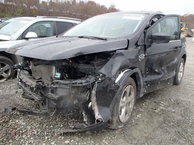 2014 FORD ESCAPE - VIN: 1FMCU9G91EUD14648 - Фото 2