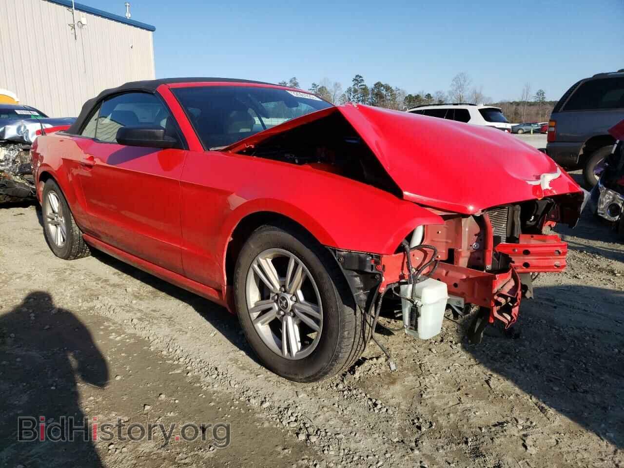 Фотография 1ZVBP8EMXE5296909 - FORD MUSTANG 2014