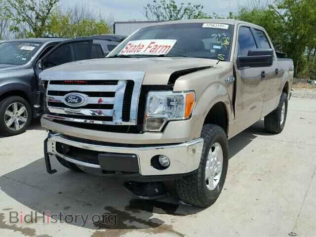 2012 FORD F150 - VIN: 1FTEW1CM2CKD49016 - Фото 2