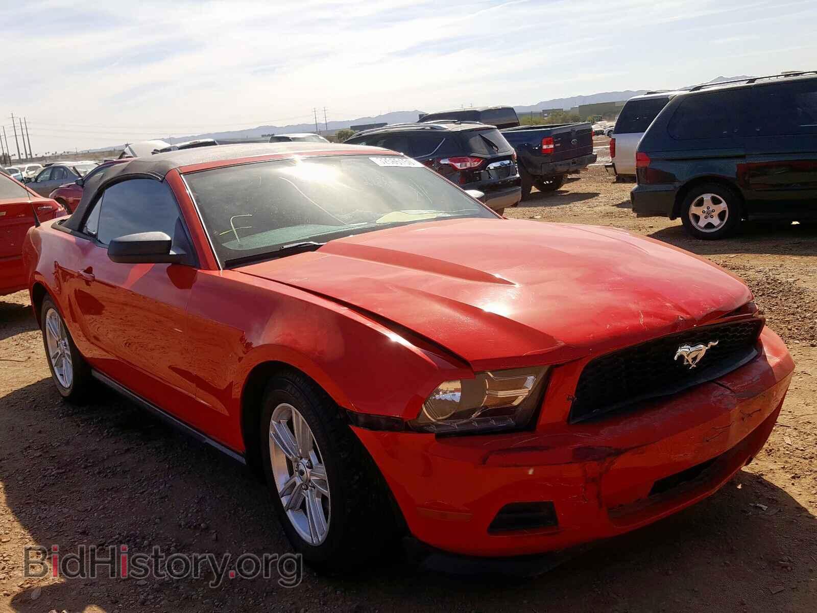 Фотография 1ZVBP8EM6C5207351 - FORD MUSTANG 2012