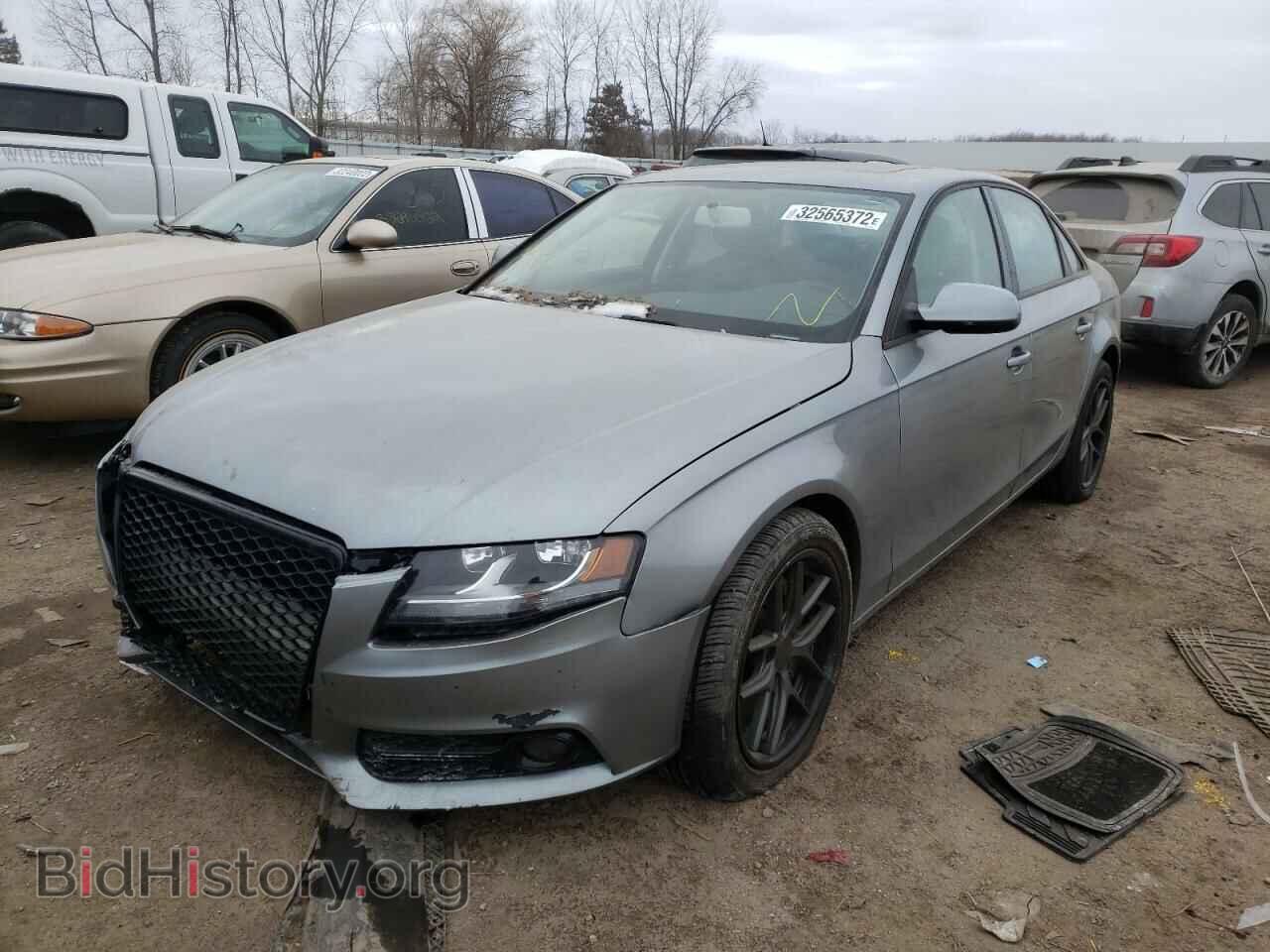 2010 AUDI A4 - VIN: WAUDFAFL0AN014084 - Фото 2