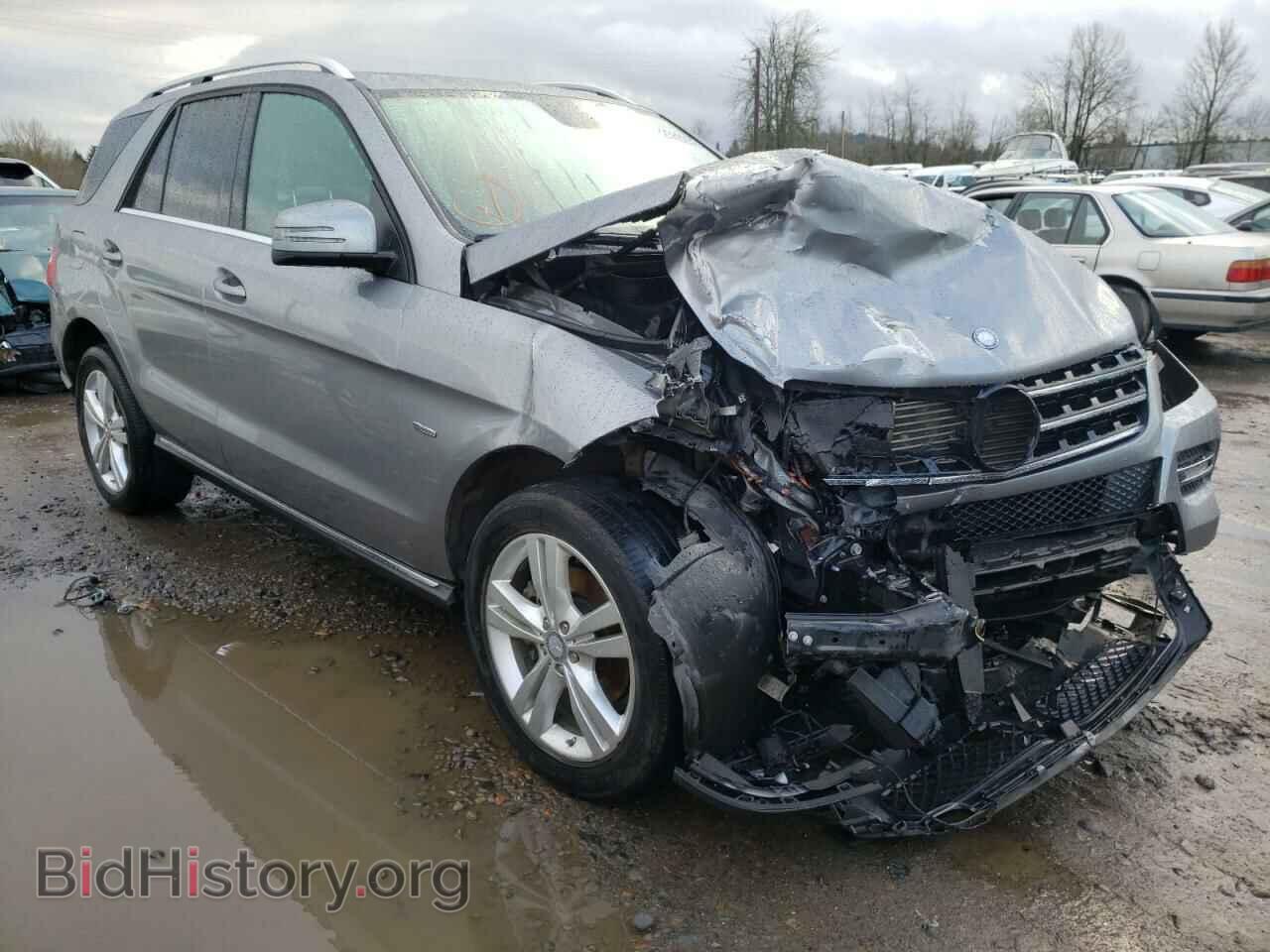 Photo 4JGDA2EB2CA001455 - MERCEDES-BENZ M-CLASS 2012