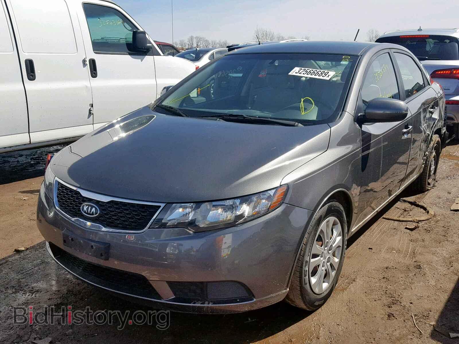 2013 KIA FORTE - VIN: KNAFU4A21D5681832 - Фото 2