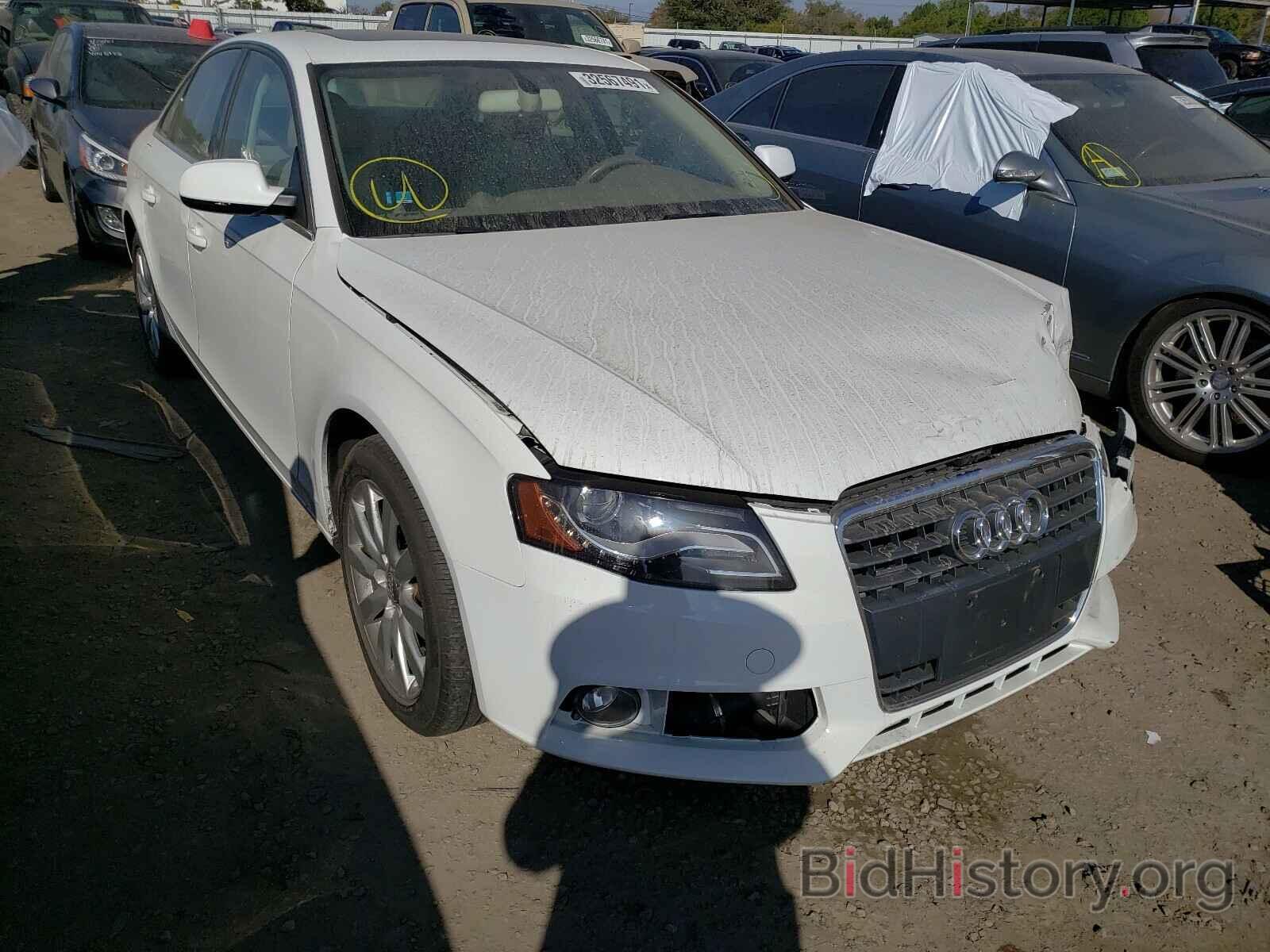 Photo WAUFFAFL0AN050608 - AUDI A4 2010