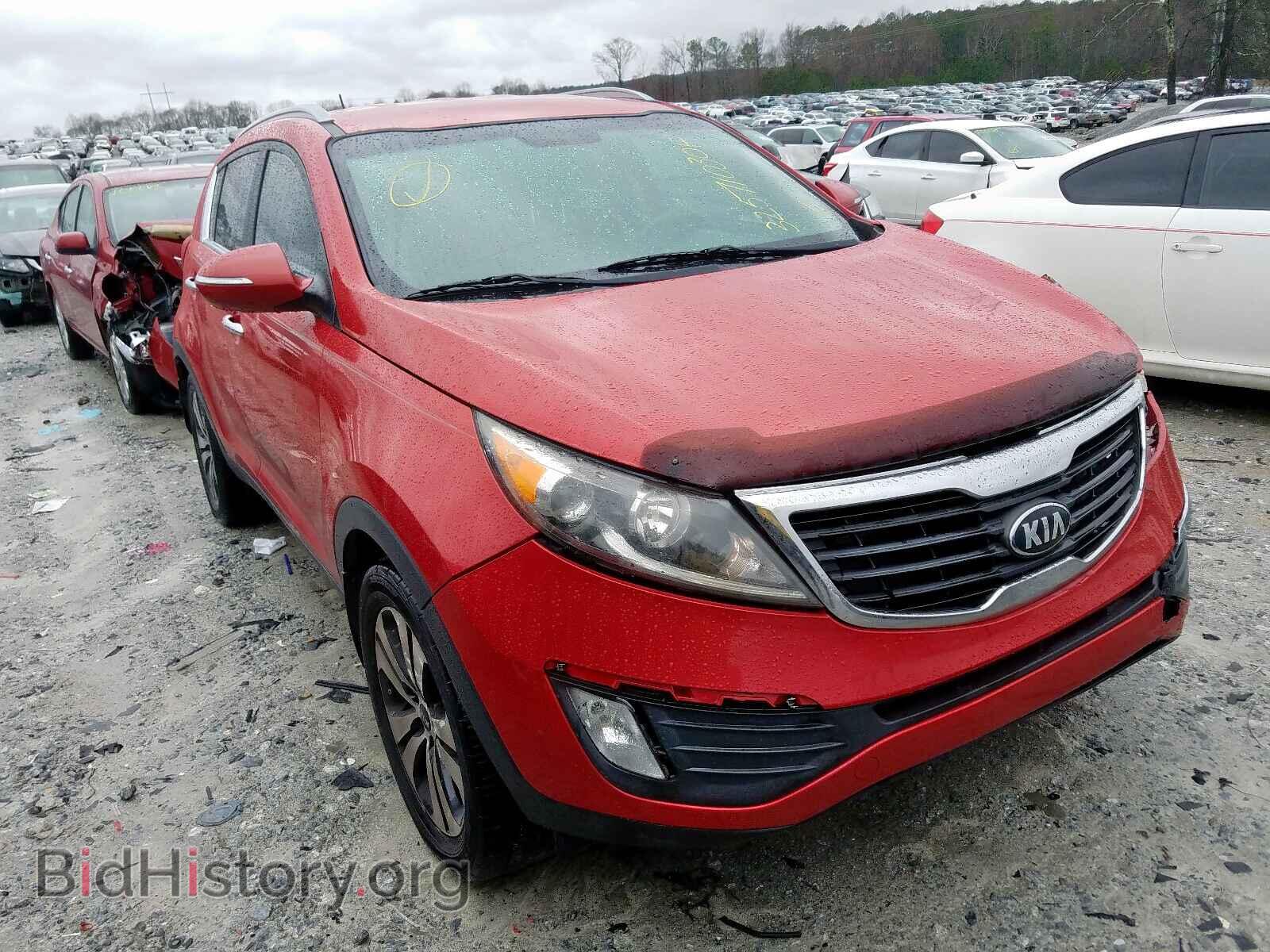 Фотография KNDPC3A21D7429698 - KIA SPORTAGE 2013