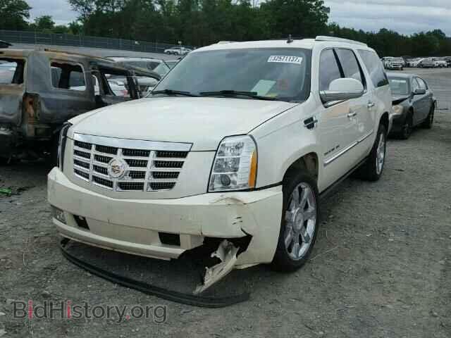 2011 CADILLAC ESCALADE - VIN: 1GYS4JEF0BR159464 - Фото 2