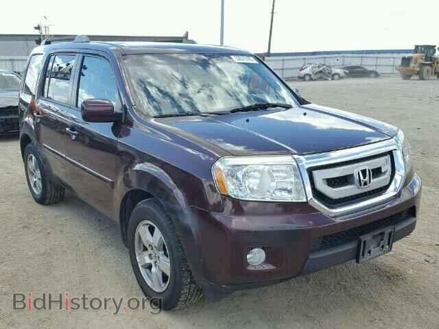 Фотография 5FNYF4H51BB002658 - HONDA PILOT 2011