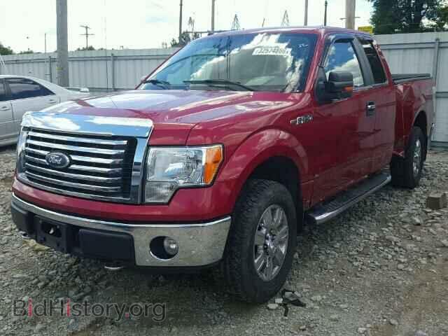2010 FORD F150 - VIN: 1FTFX1EV3AFB99317 - Фото 2