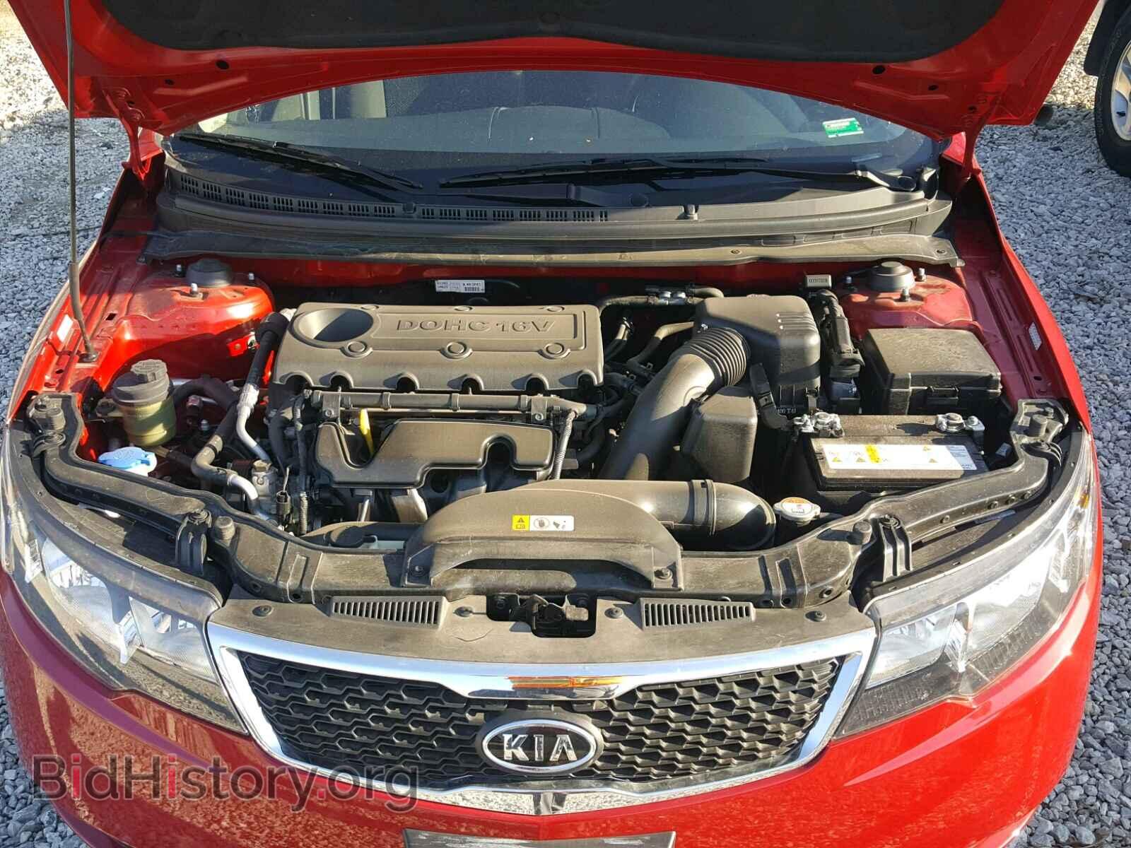 2013 KIA FORTE - VIN: KNAFU5A24D5726218 - Фото 7