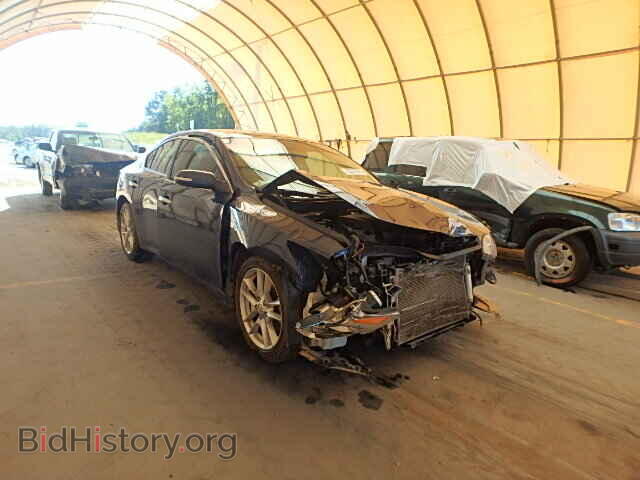 Photo 1N4AA51E19C812305 - NISSAN MAXIMA 2009