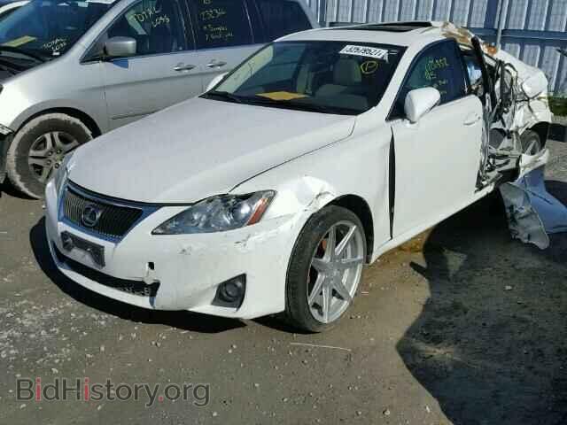 2011 LEXUS IS250 - VIN: JTHCF5C27B5050341 - Фото 2