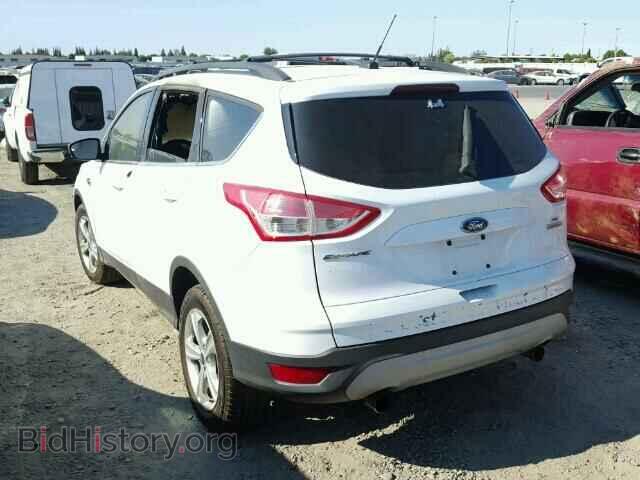 2013 FORD ESCAPE - VIN: 1FMCU0G95DUC95306 - Фото 3