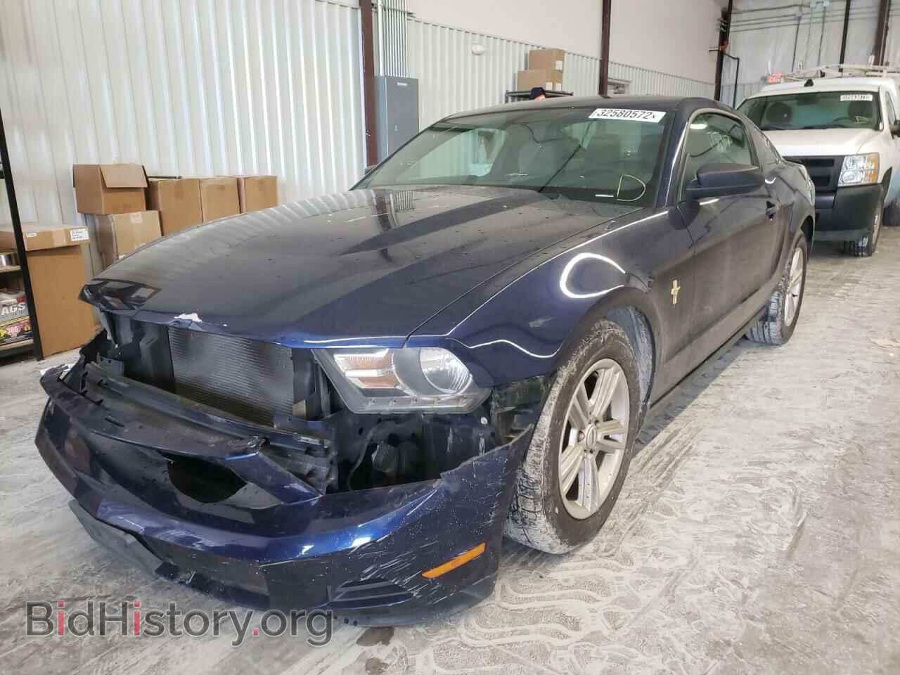 2012 FORD MUSTANG - VIN: 1ZVBP8AM7C5250067 - Фото 2