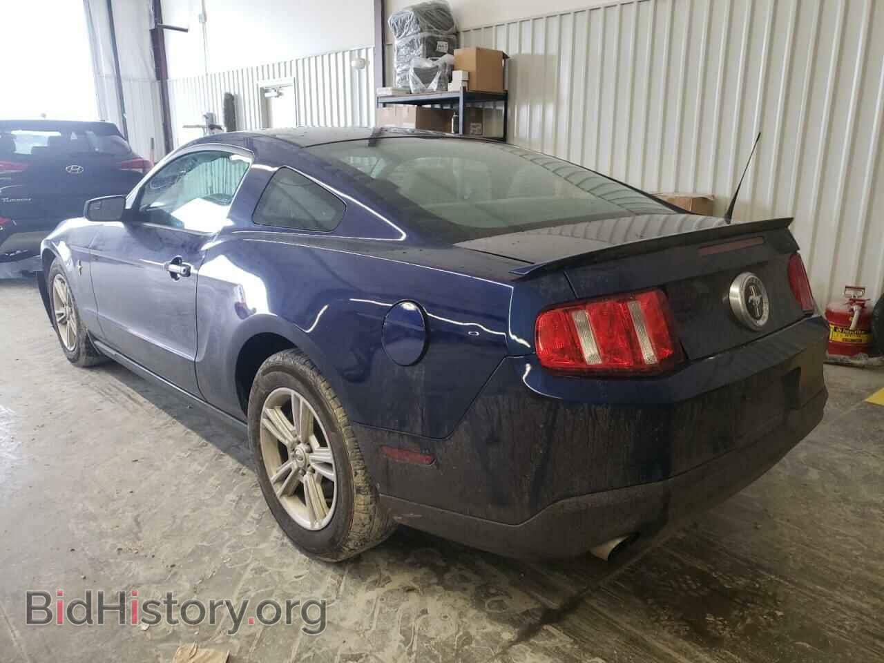 2012 FORD MUSTANG - VIN: 1ZVBP8AM7C5250067 - Фото 3