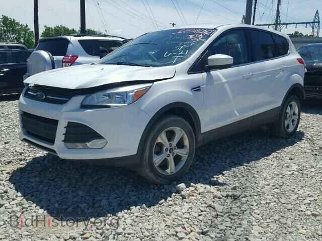 2013 FORD ESCAPE - VIN: 1FMCU9GX9DUB24206 - Фото 2