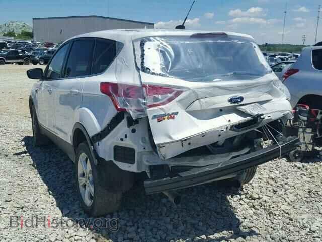 2013 FORD ESCAPE - VIN: 1FMCU9GX9DUB24206 - Фото 3