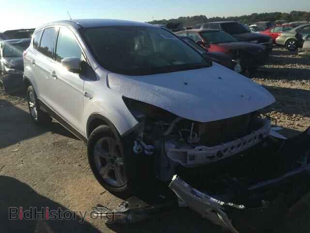 Photo 1FMCU0GX4EUA42901 - FORD ESCAPE 2014