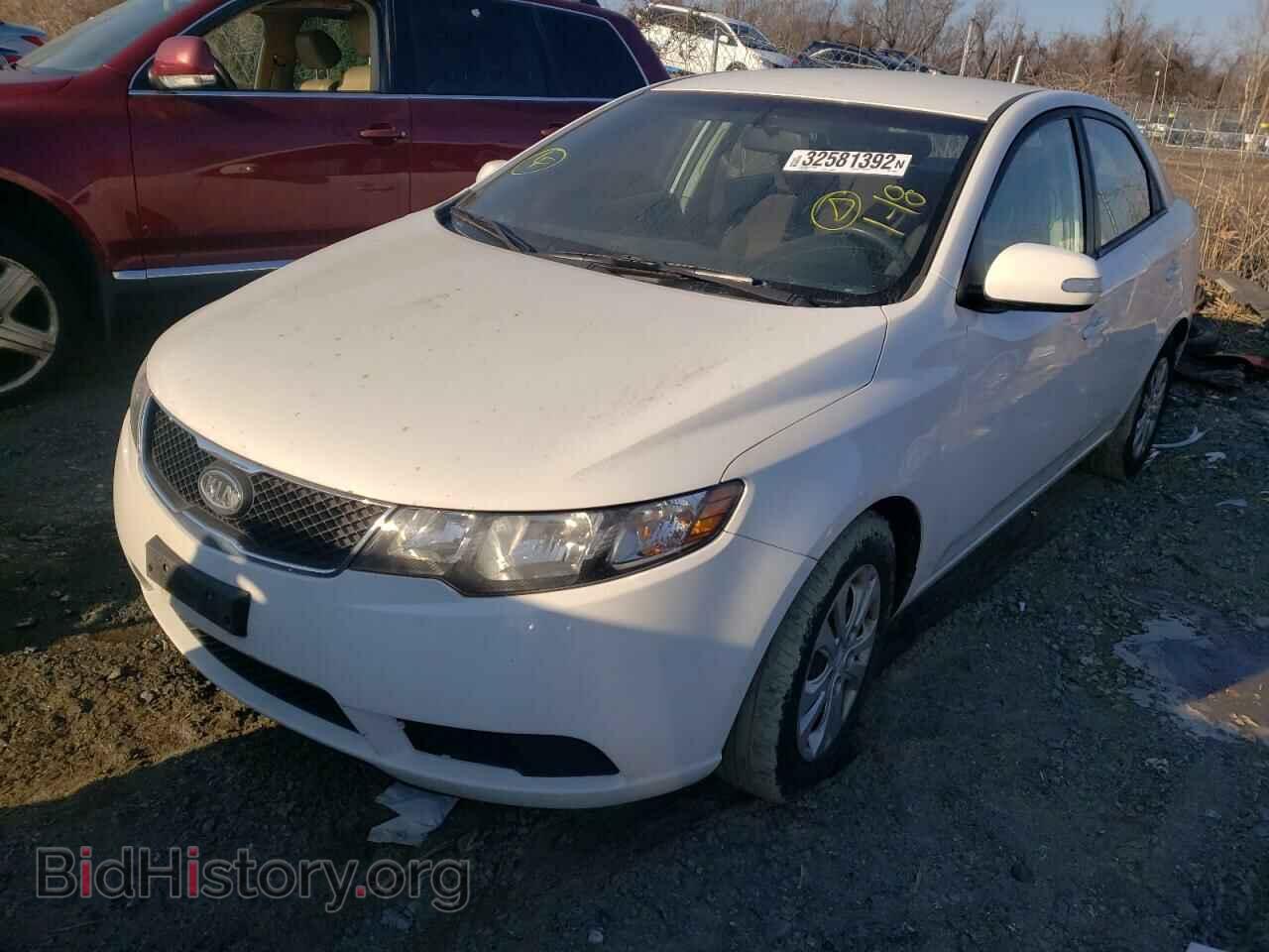 2010 KIA FORTE - VIN: KNAFU4A29A5169974 - Фото 2